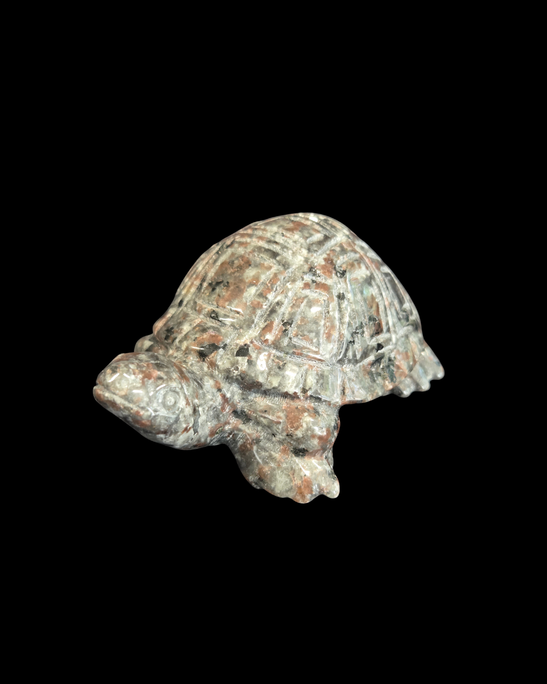 Turtle - Fire Stone