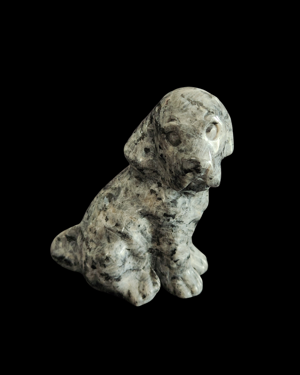 Hound Dog - Larvikite