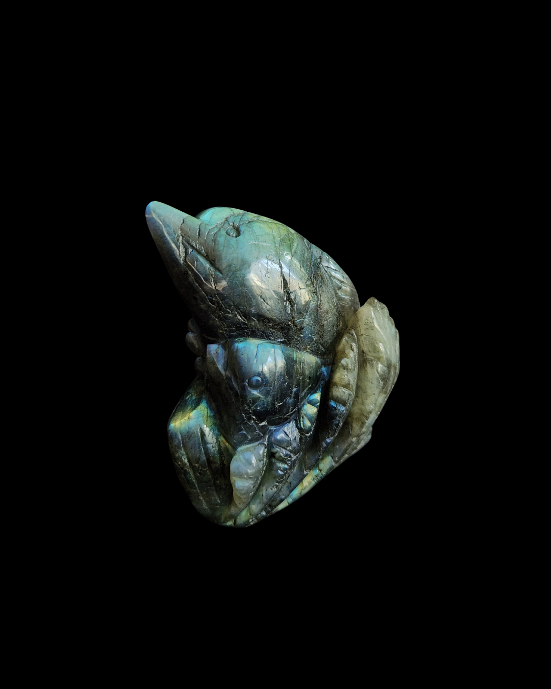 Dolphin - Labradorite