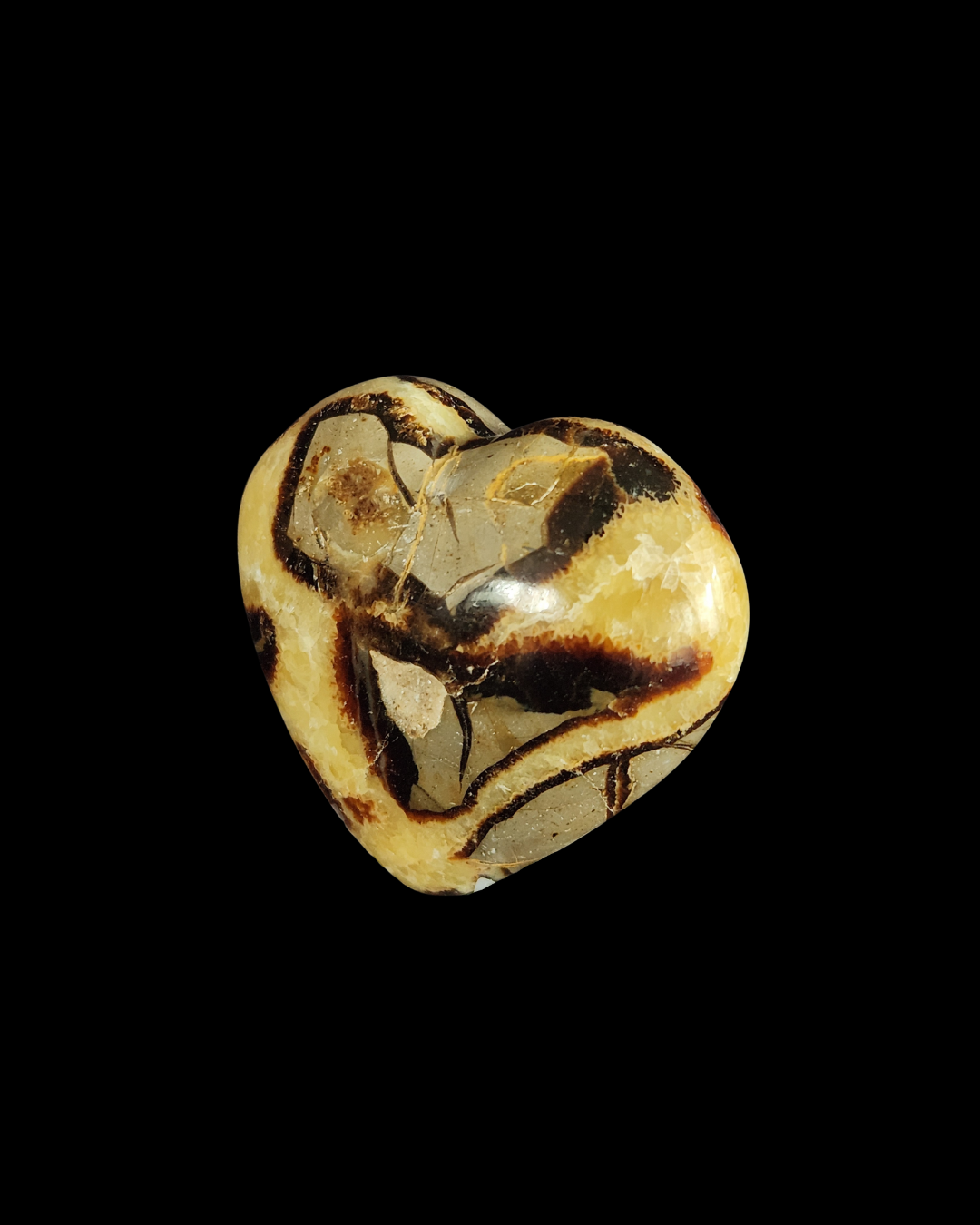 Heart - Septarian