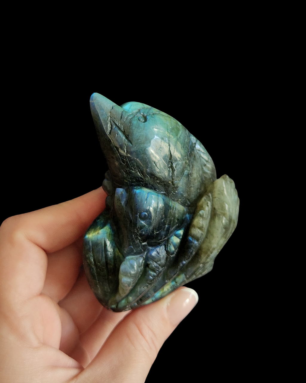 Dolphin - Labradorite