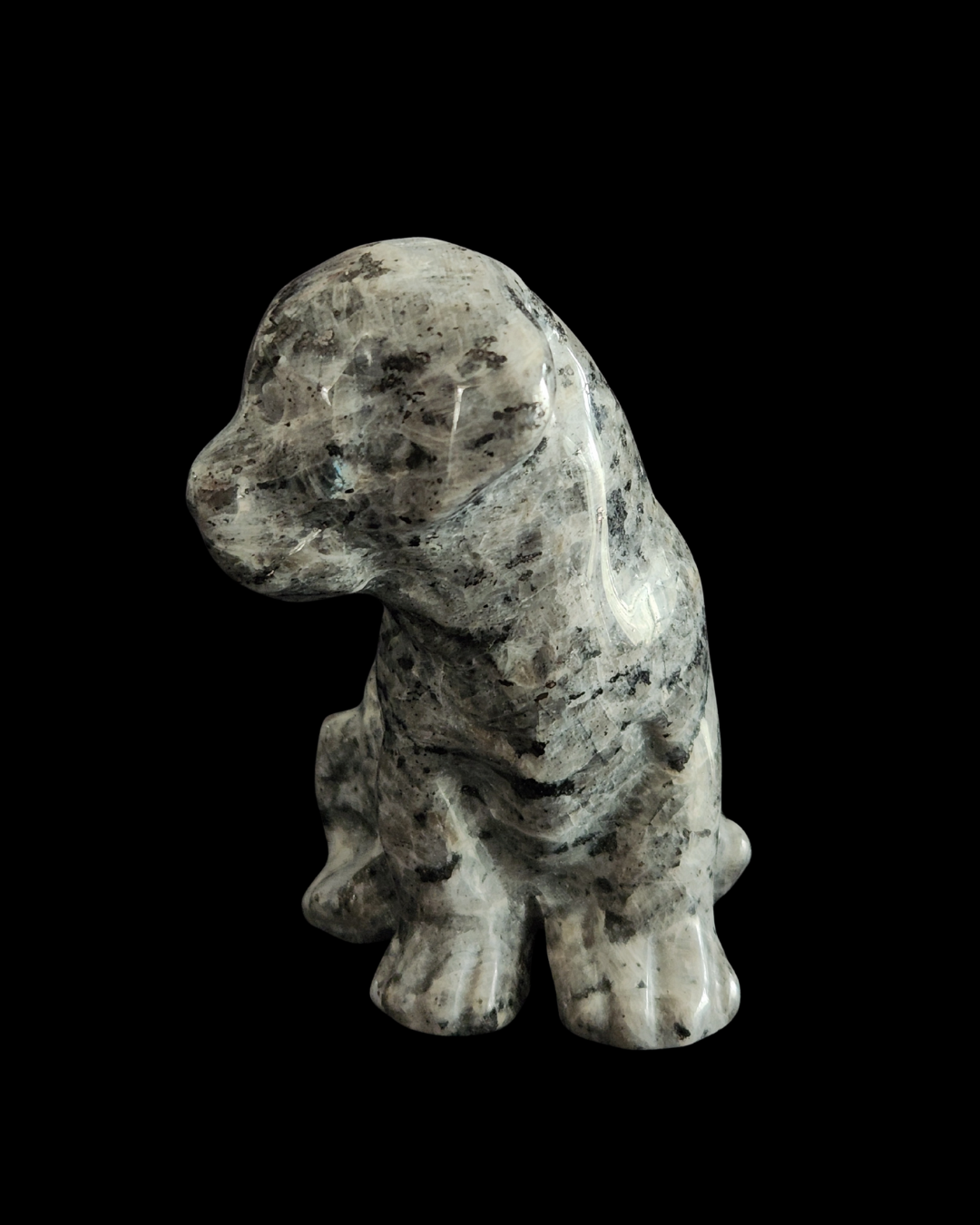 Hound Dog - Larvikite