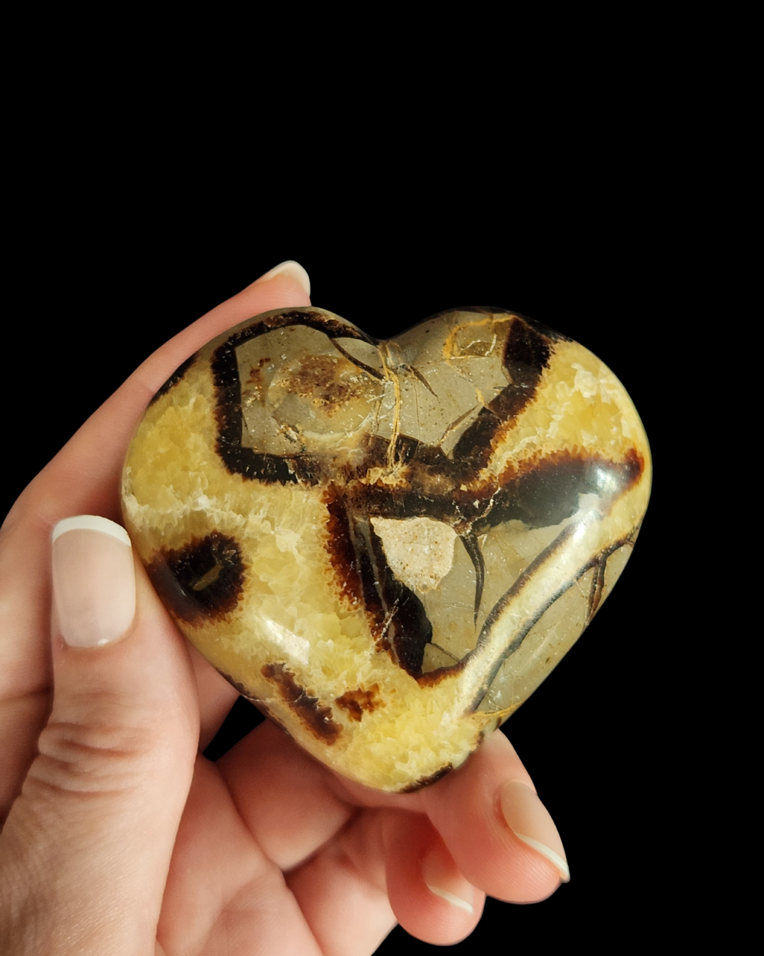 Heart - Septarian