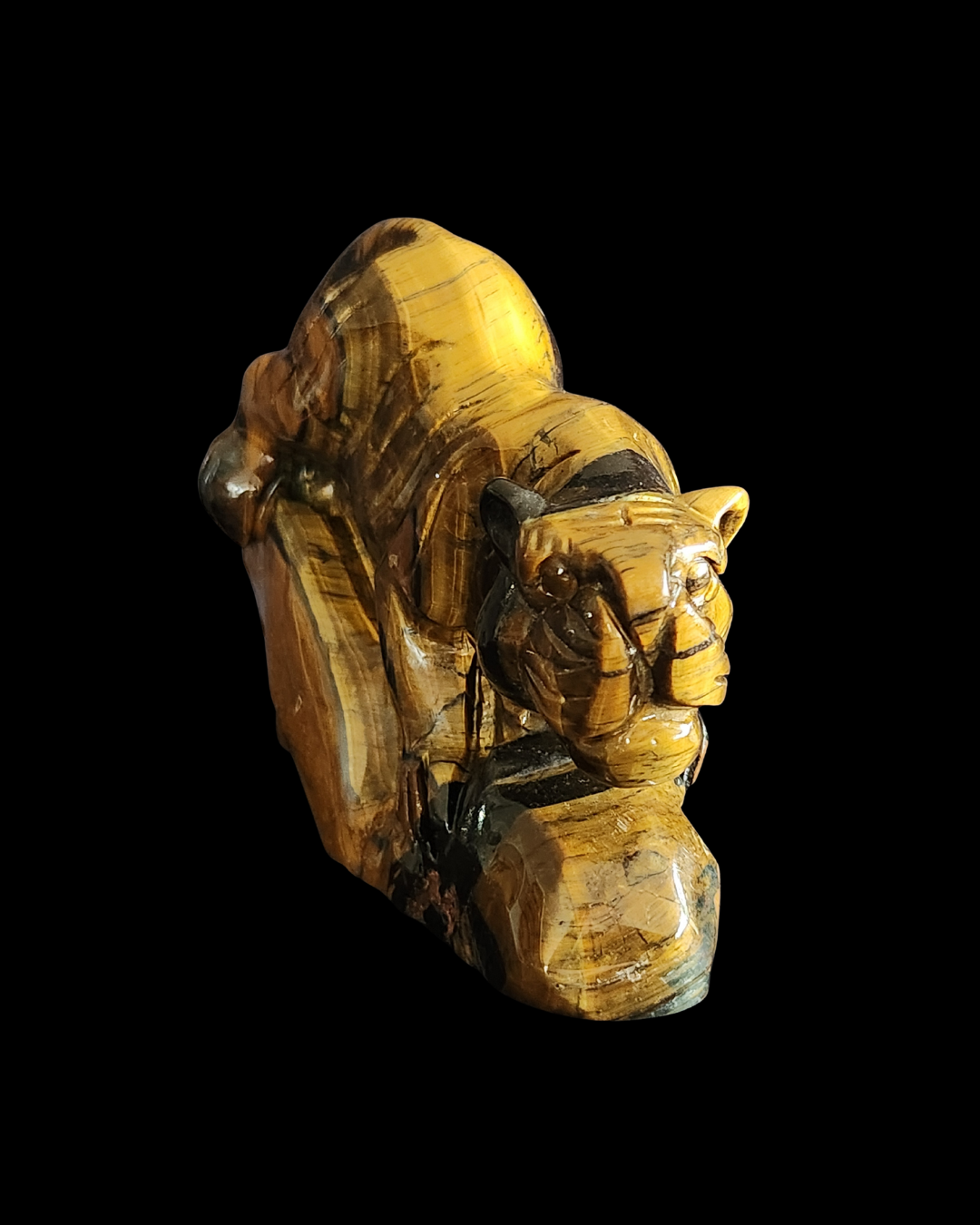 Tiger - Tigers Eye