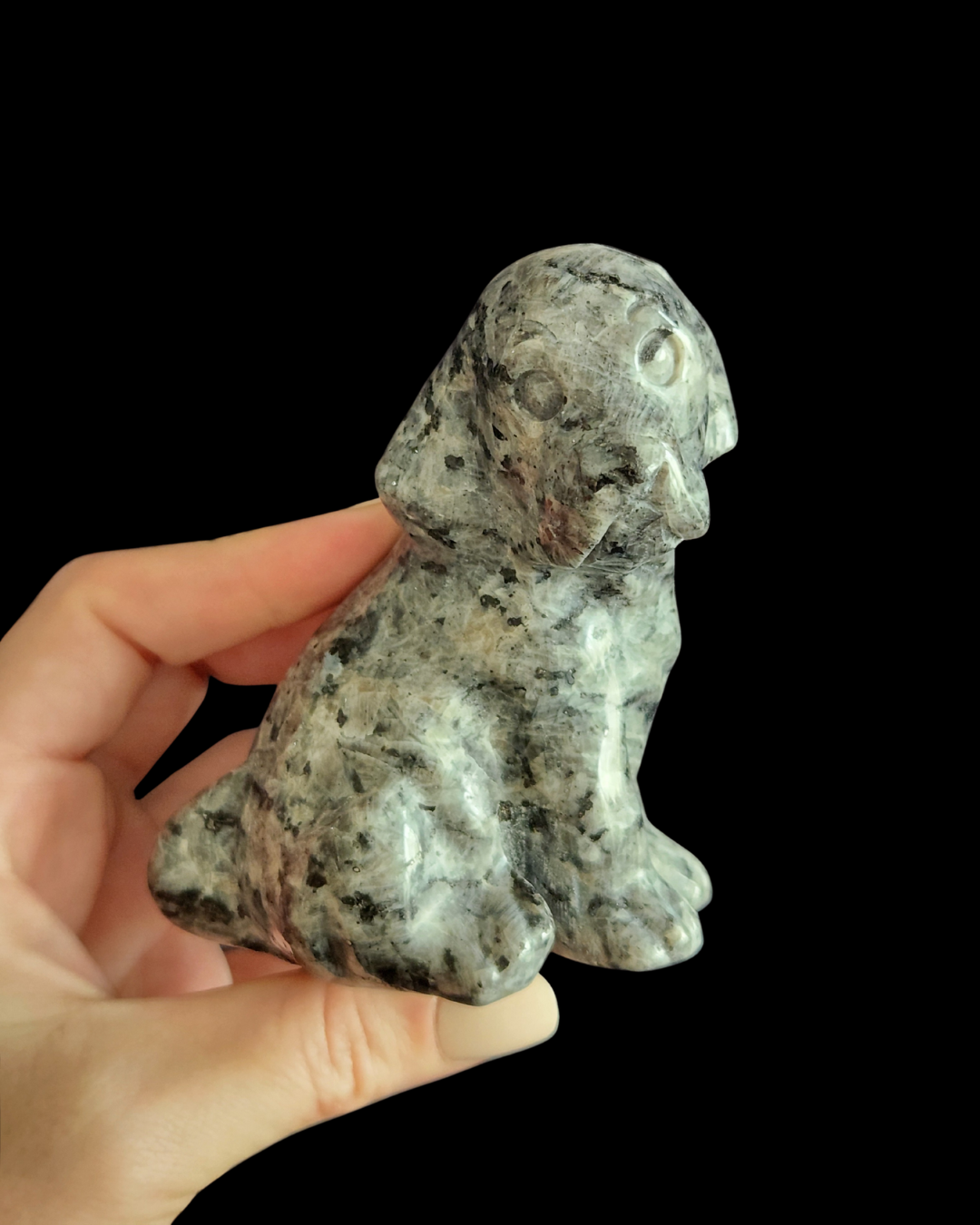 Hound Dog - Larvikite