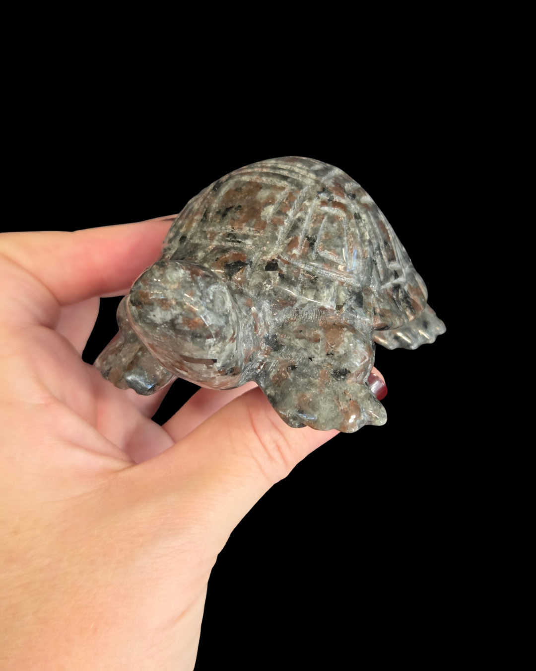 Turtle - Fire Stone
