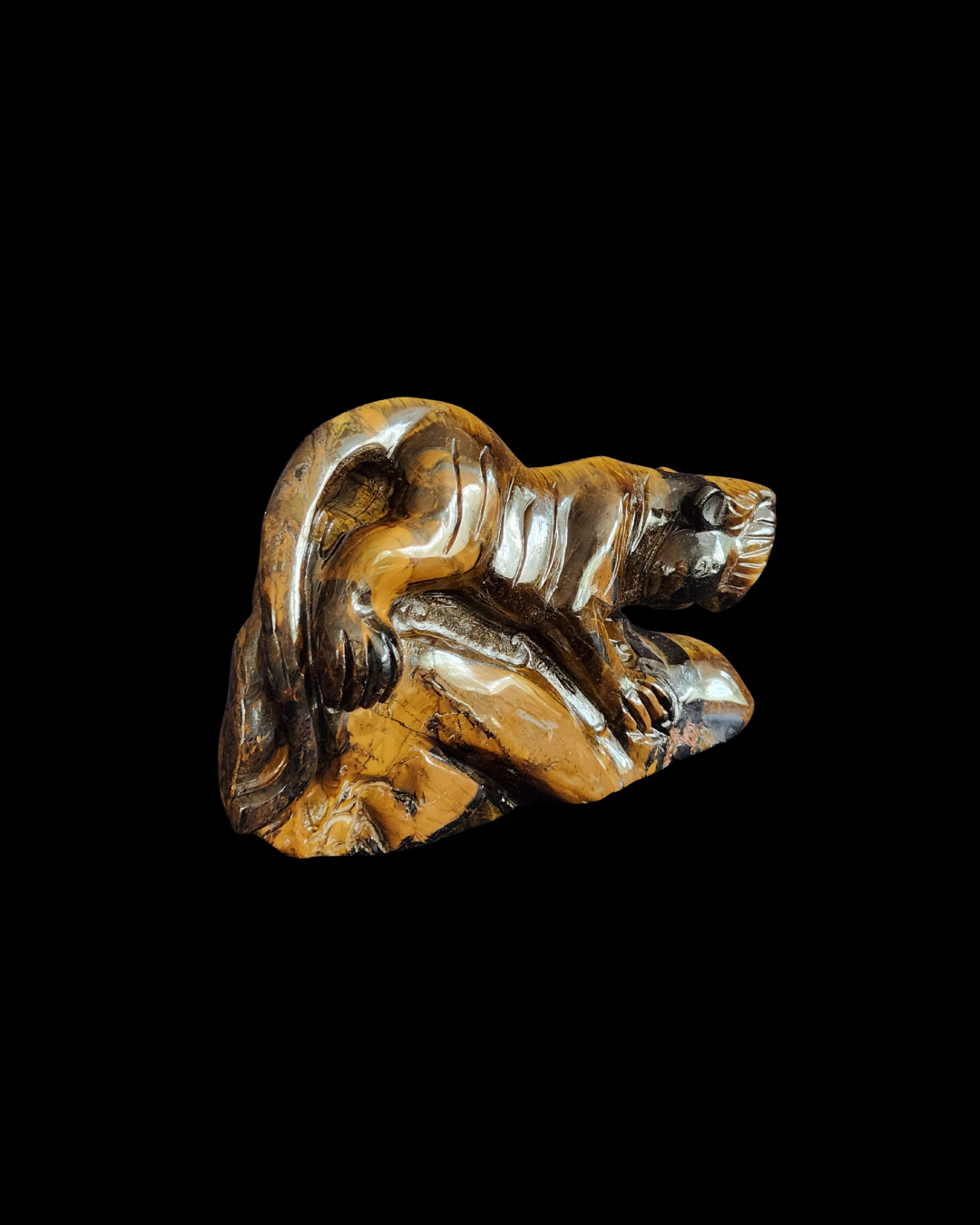 Tiger - Tigers Eye