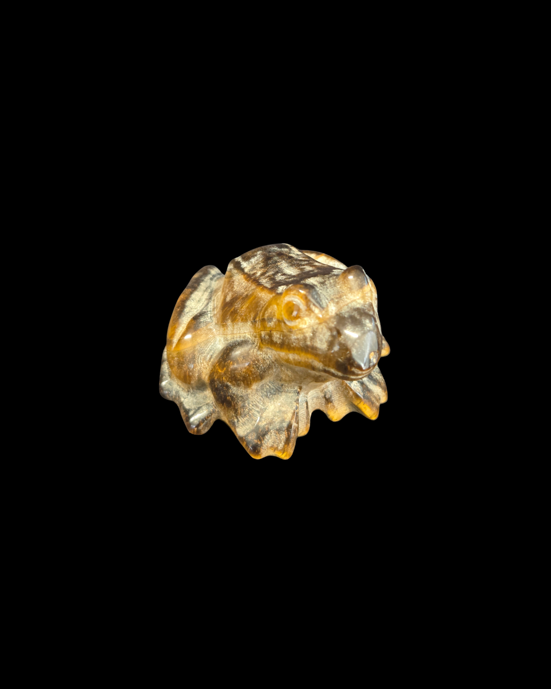 Frog - Tigers Eye