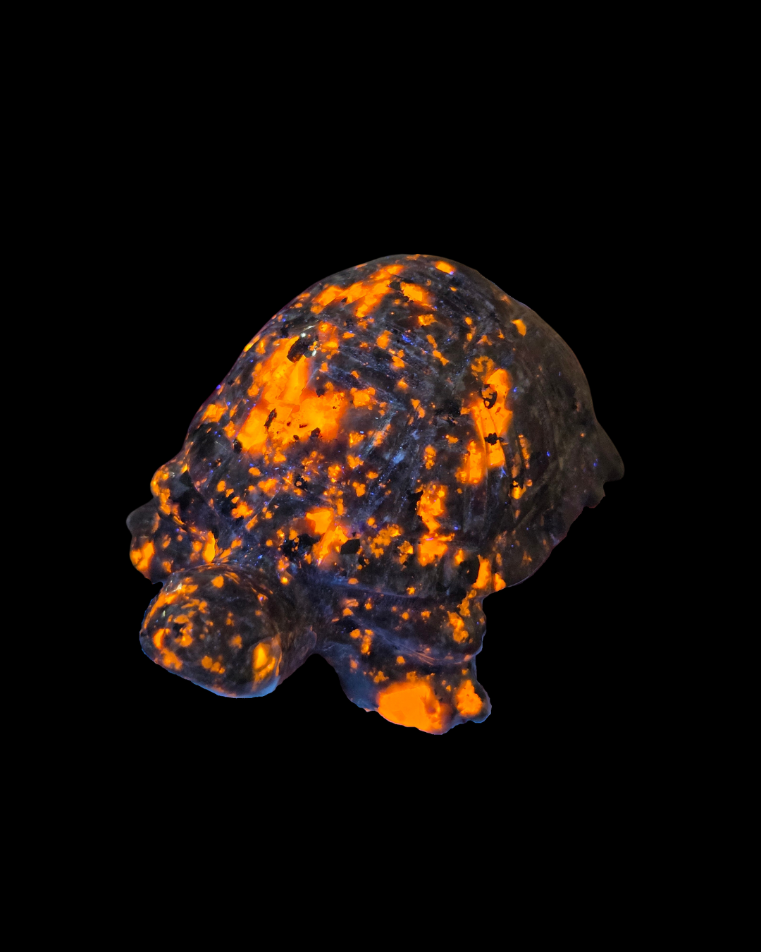 Turtle - Fire Stone