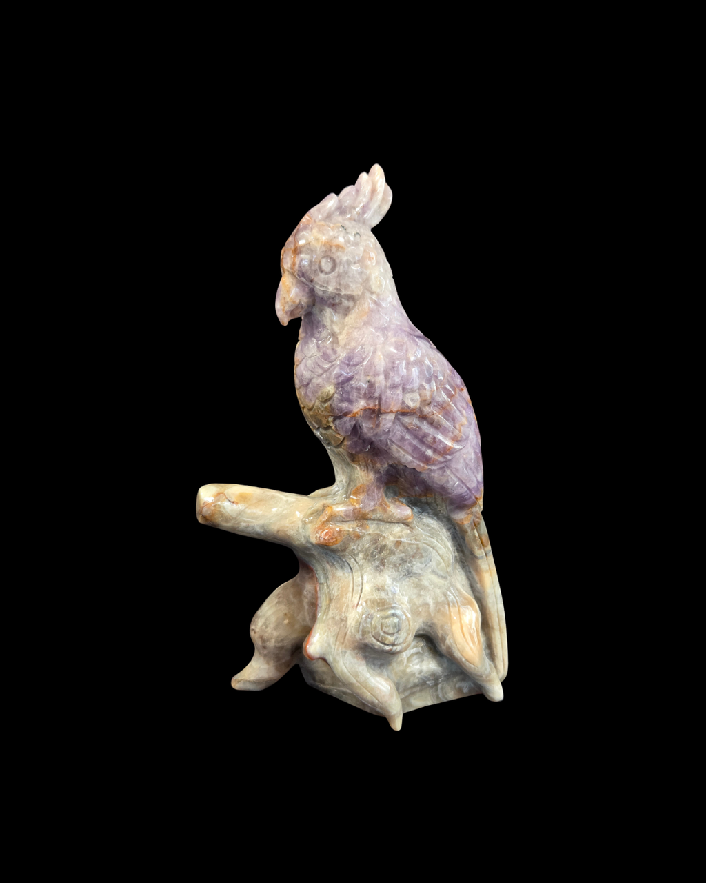 Parrot - Mexican Amethyst Agate