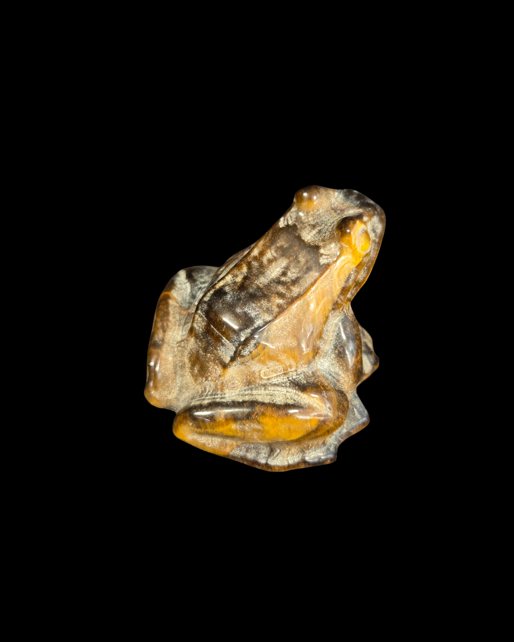 Frog - Tigers Eye