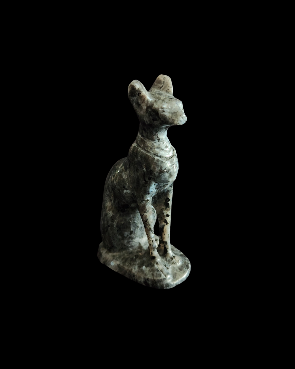 Sphynx Cat - Larvikite