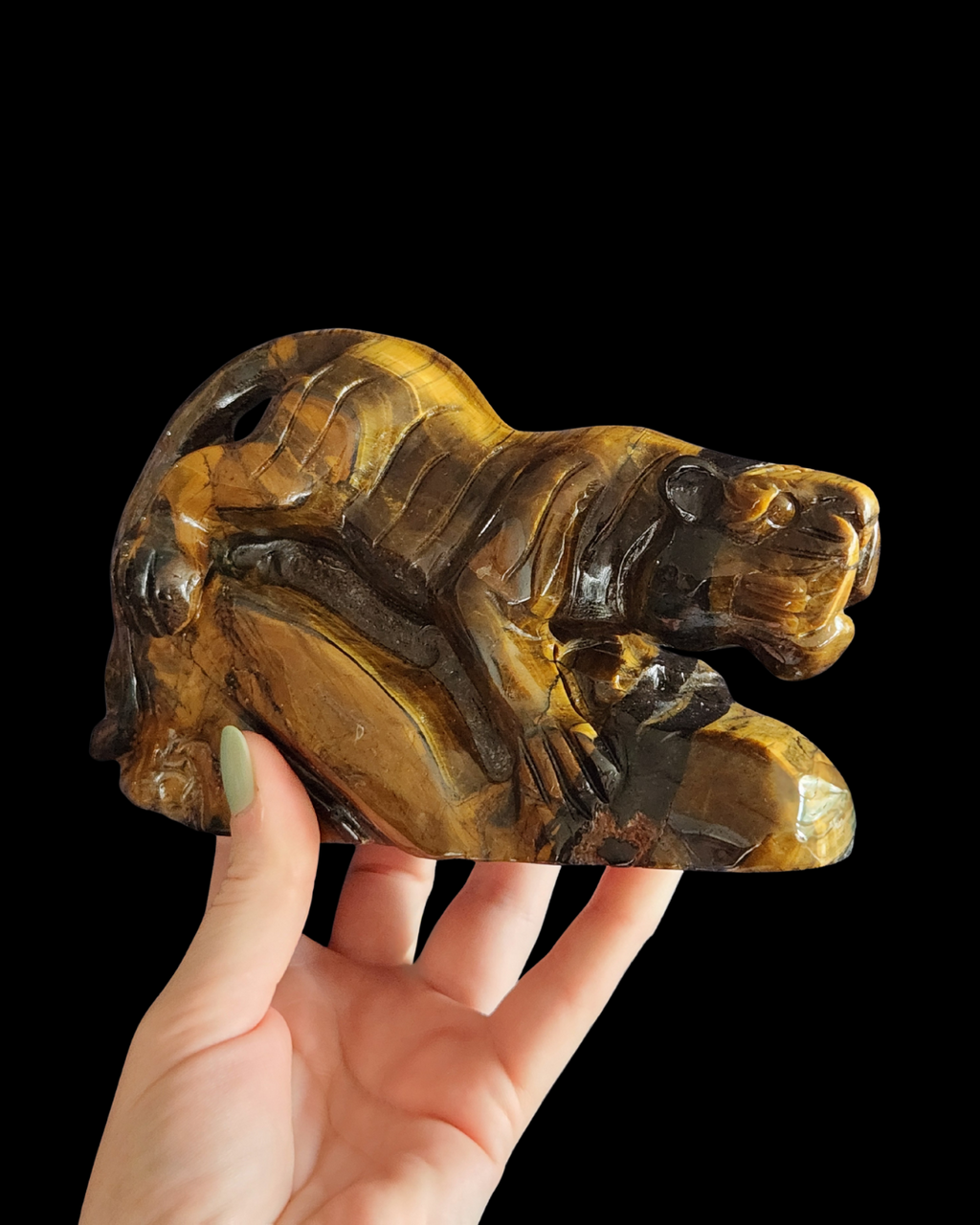 Tiger - Tigers Eye