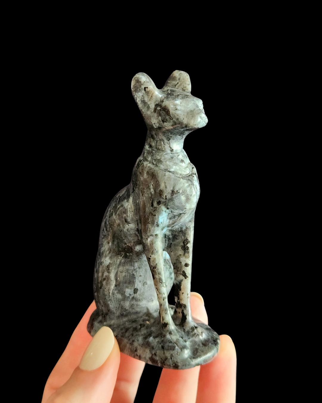 Sphynx Cat - Larvikite