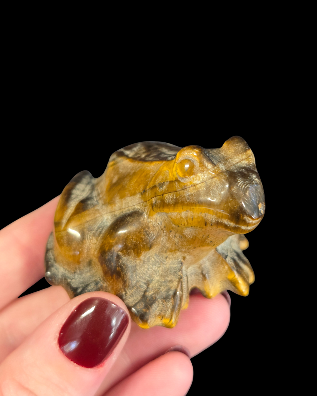 Frog - Tigers Eye