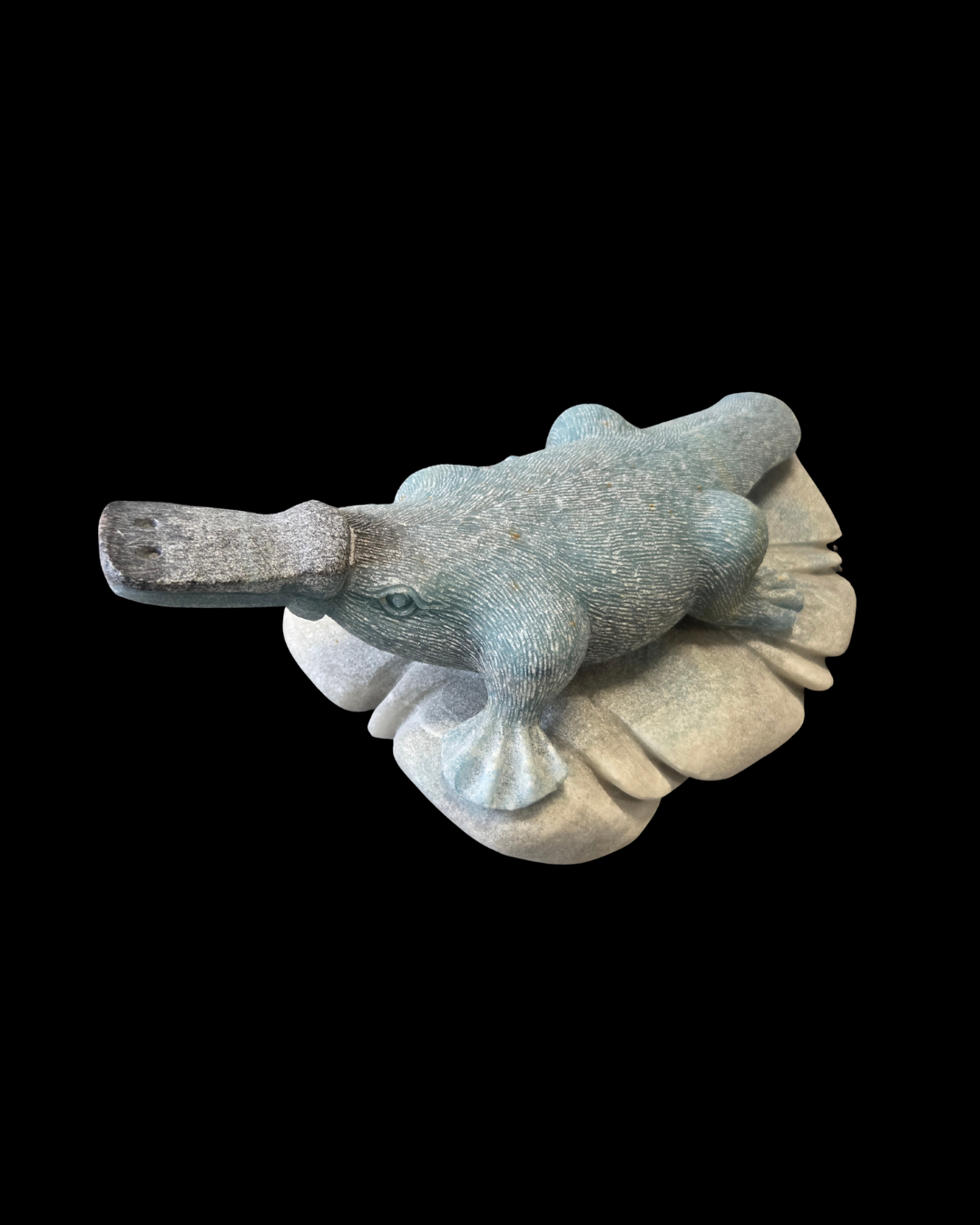 Platypus - Trolleite