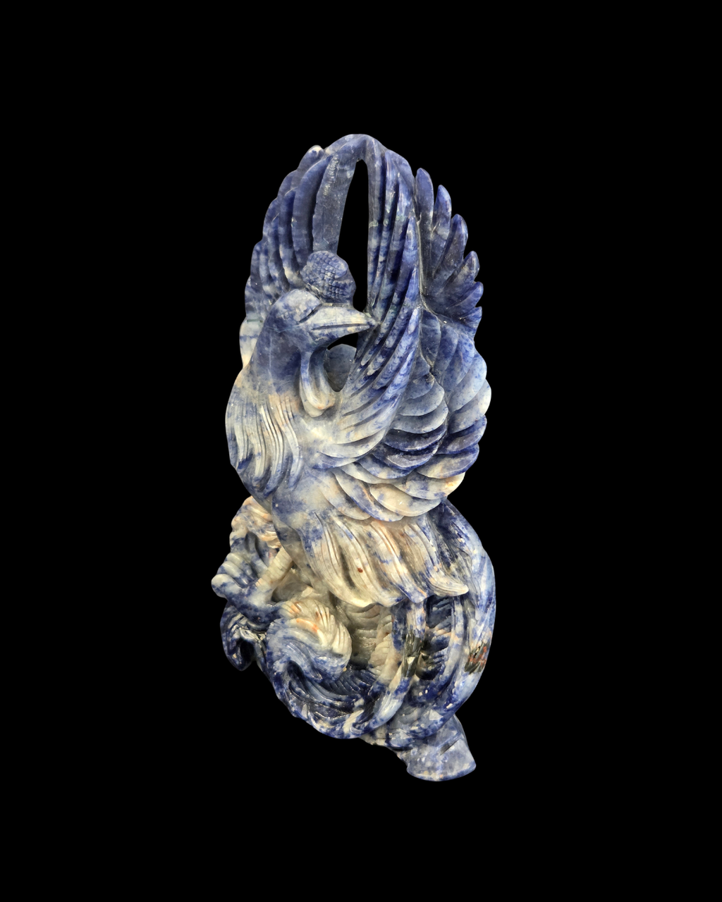 Phoenix - Sodalite