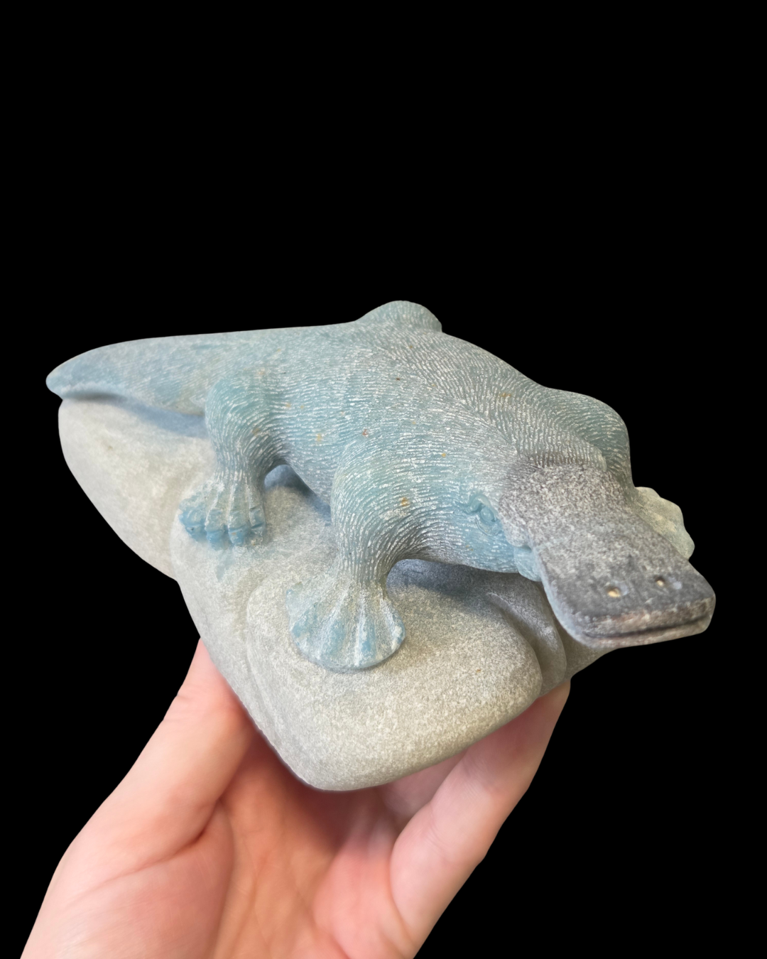 Platypus - Trolleite