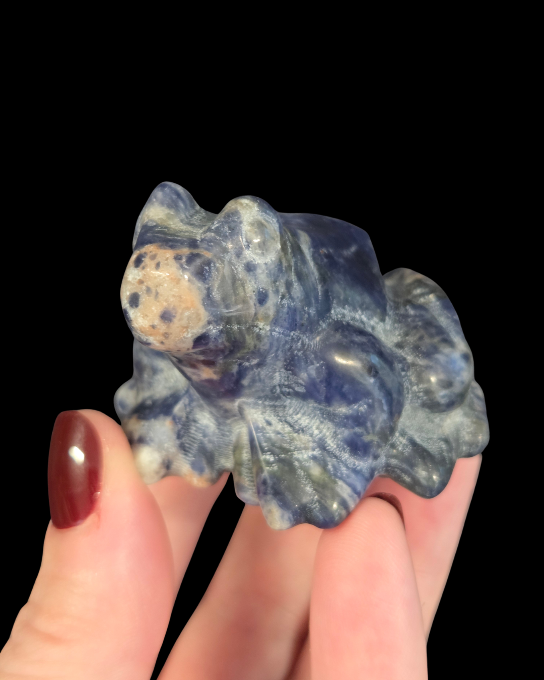 Frog - Sodalite