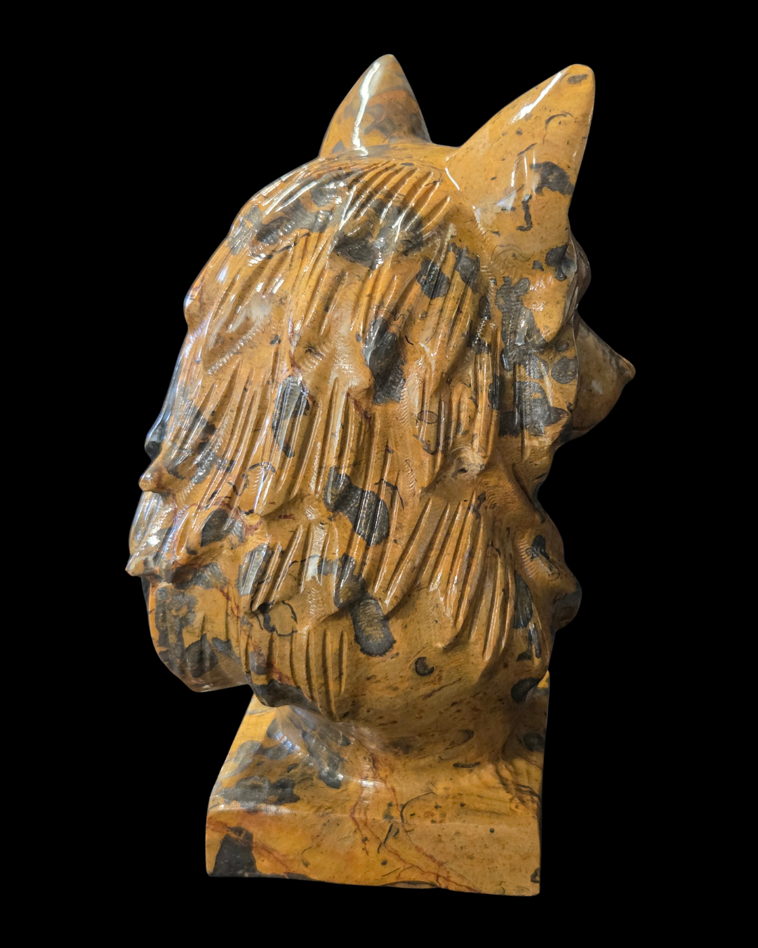 Wolf's Head - Shunhuanghua Jasper