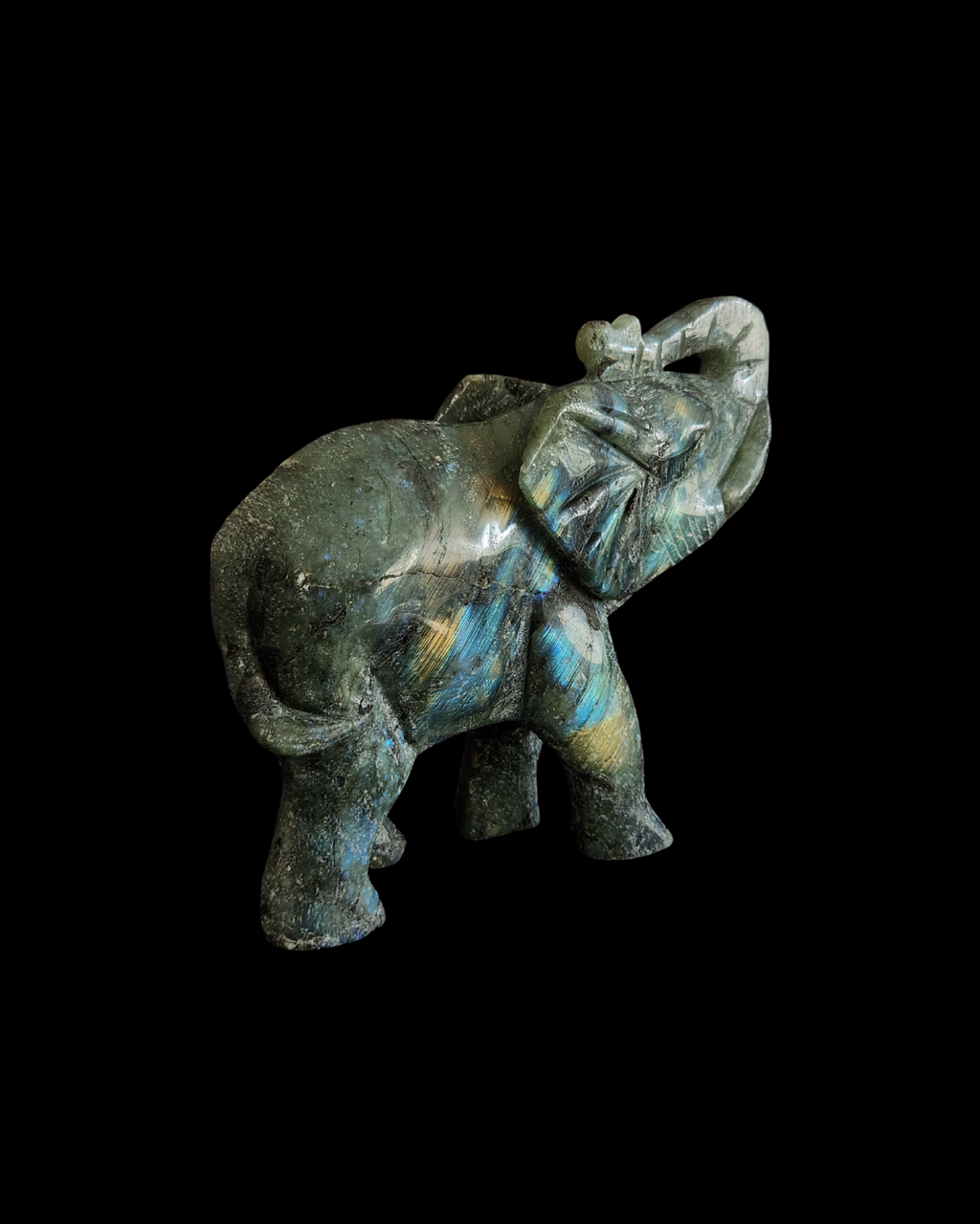 Elephant - Labradorite