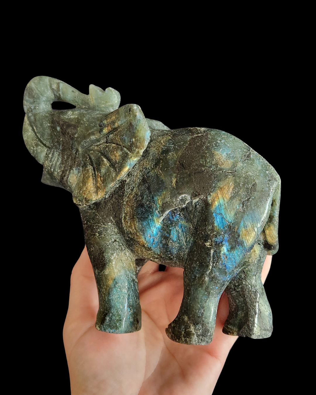 Elephant - Labradorite