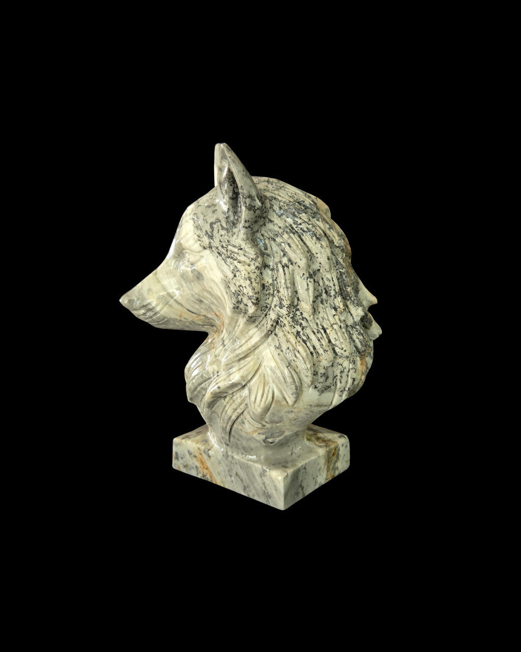 Wolf's Head - Picasso Jasper