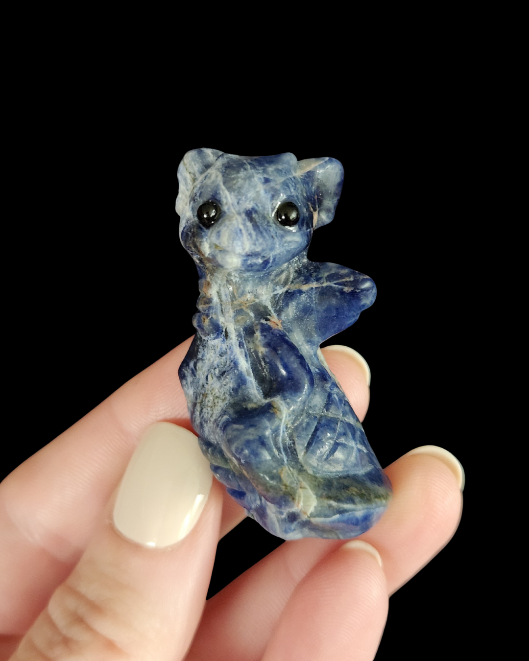 Dragon - Sodalite