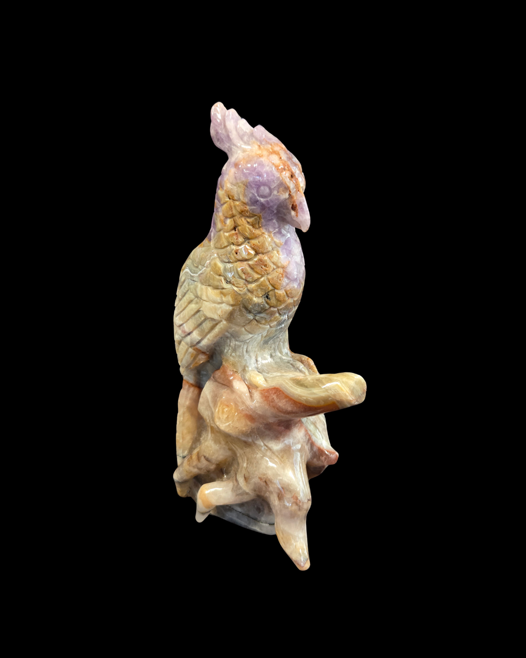 Parrot - Mexican Amethyst Agate