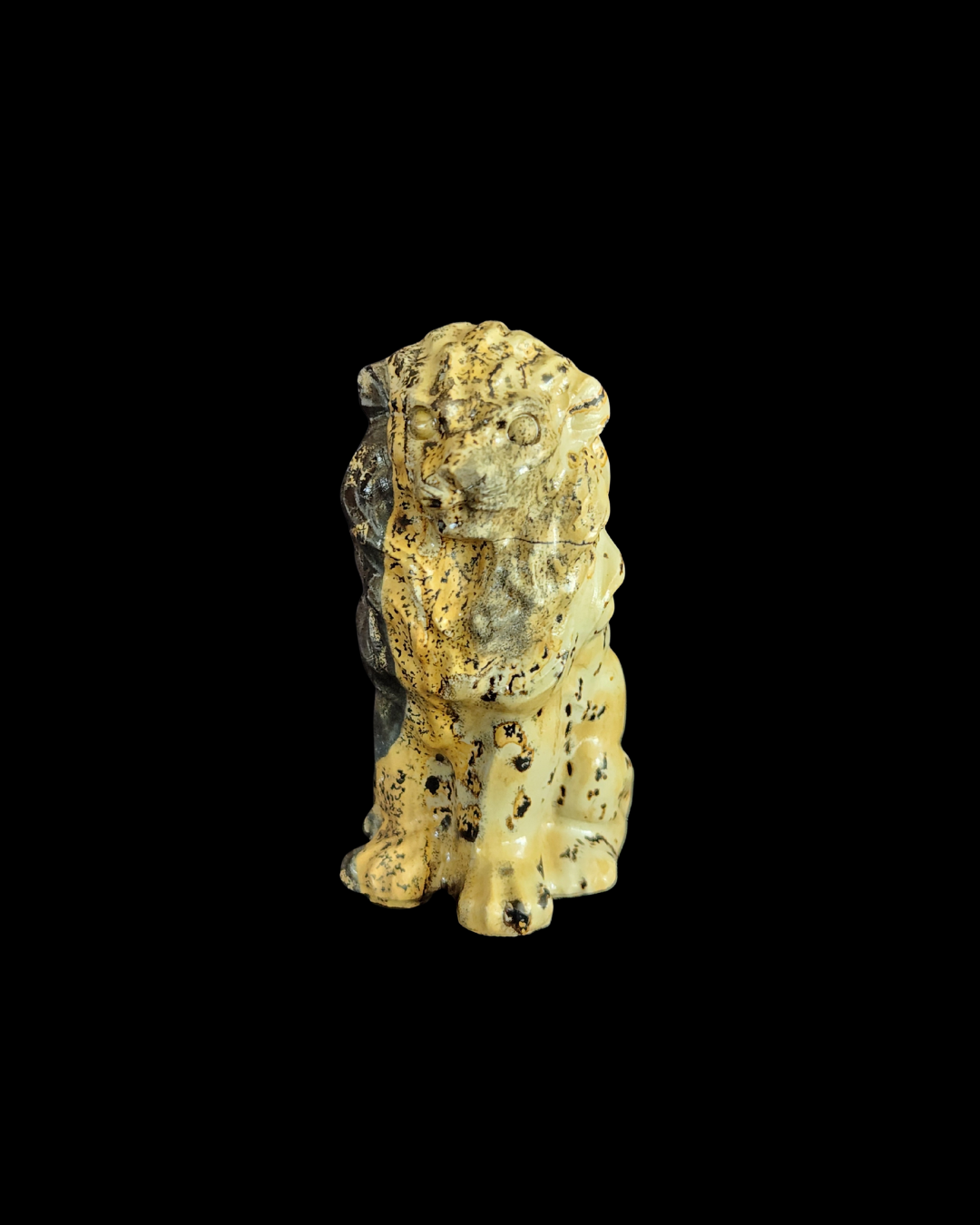 Lion - Picture Jasper