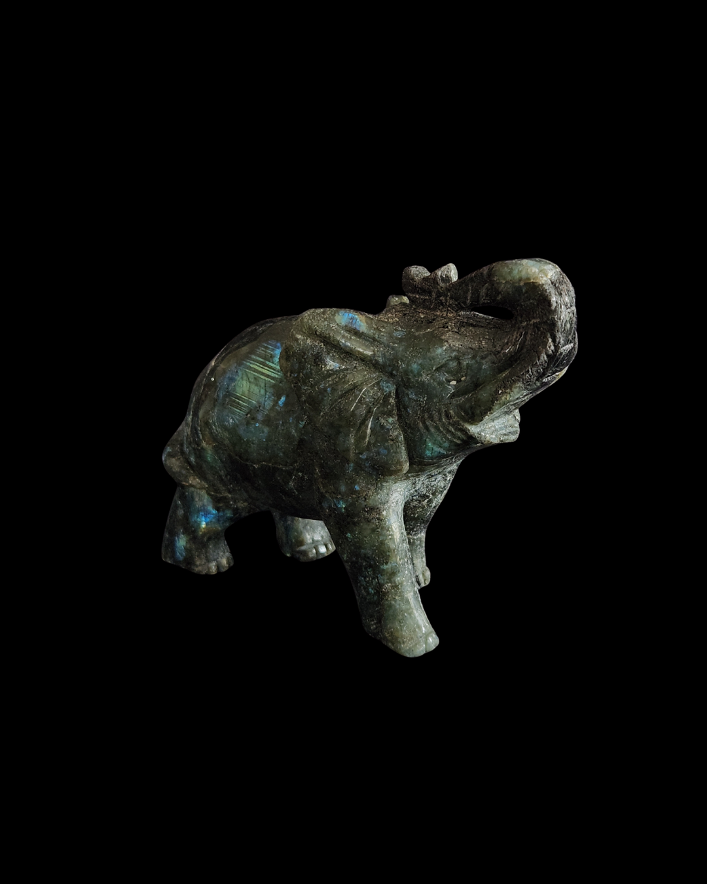 Elephant - Labradorite