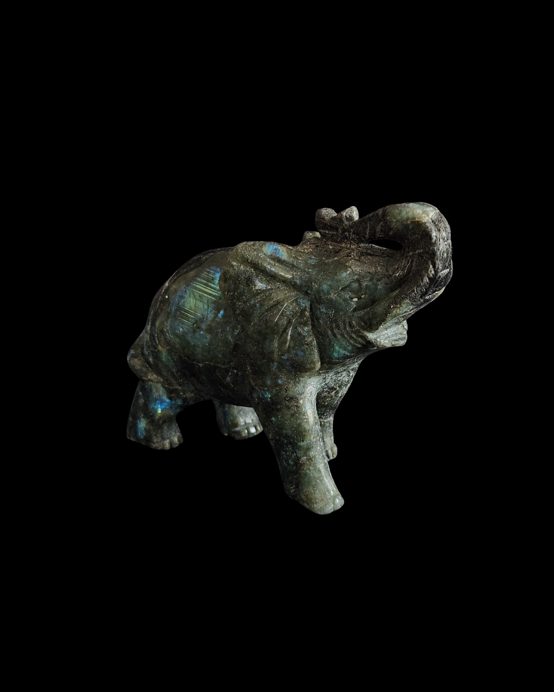 Elephant - Labradorite