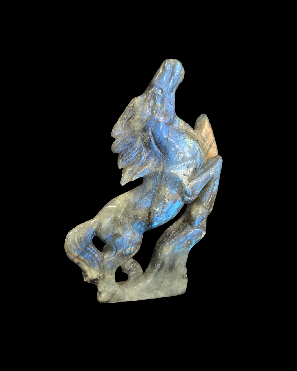 Horse - Labradorite