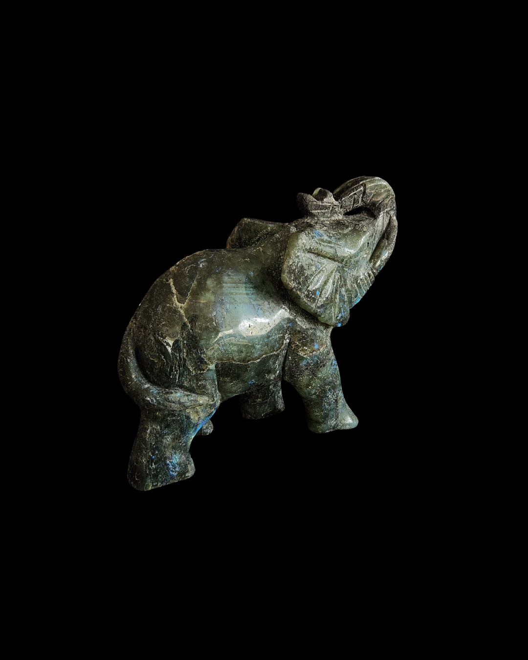 Elephant - Labradorite