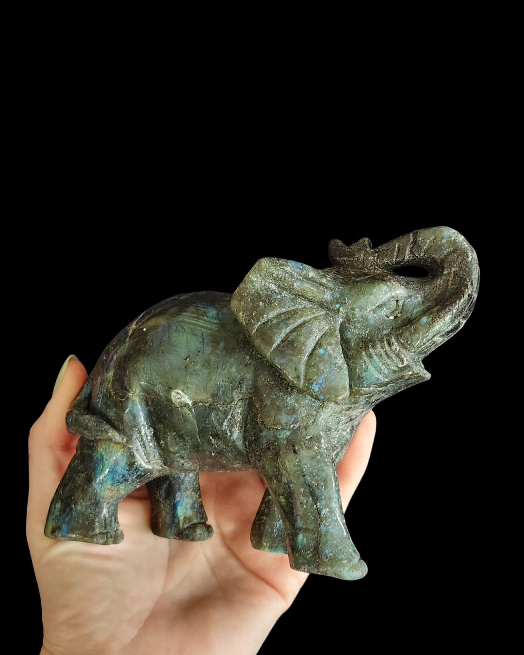 Elephant - Labradorite