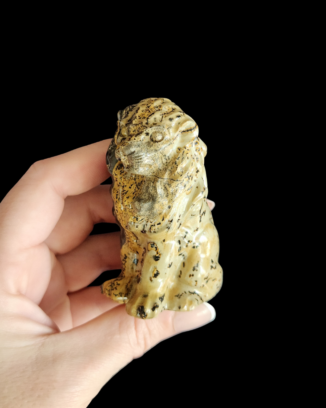 Lion - Picture Jasper