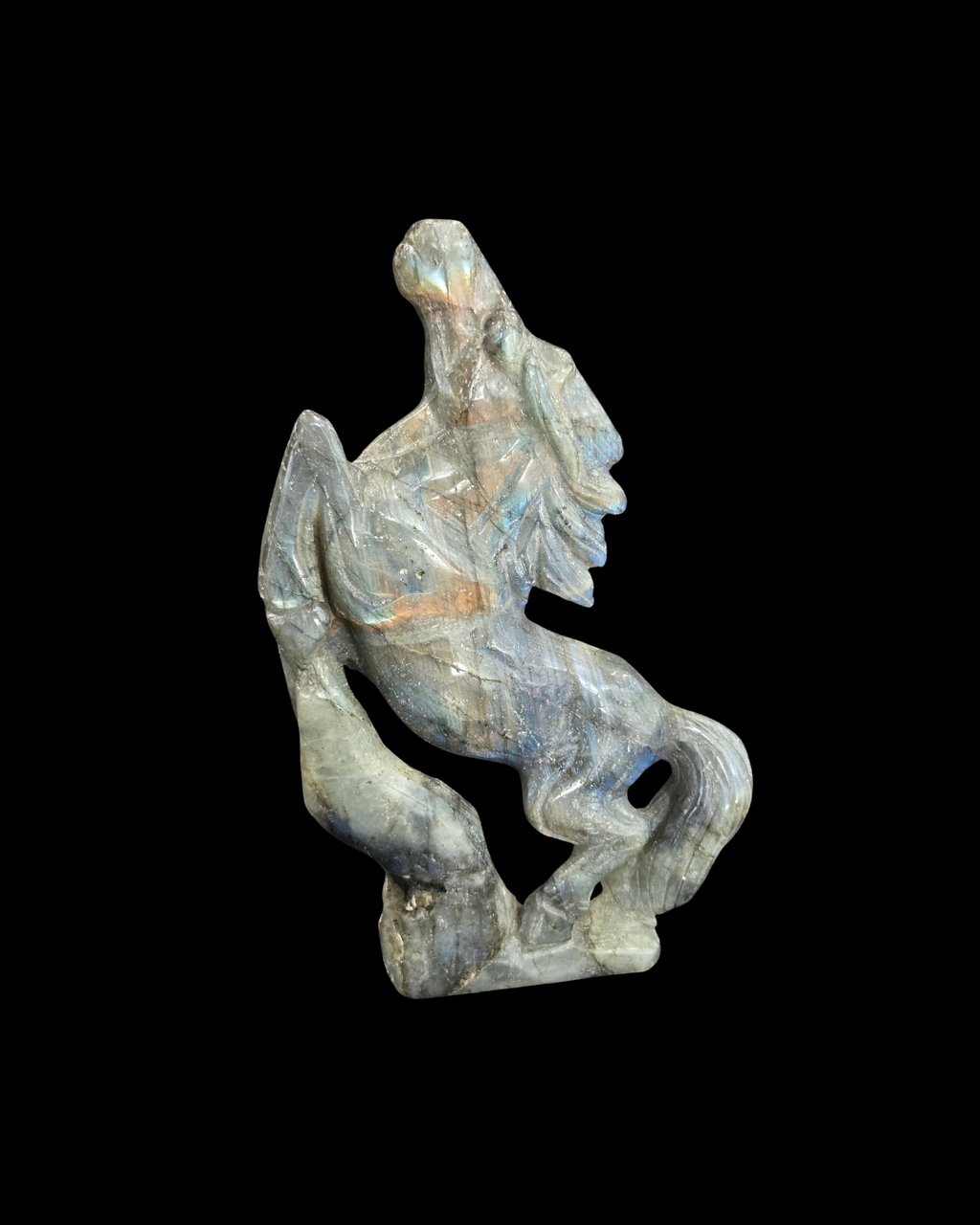Horse - Labradorite