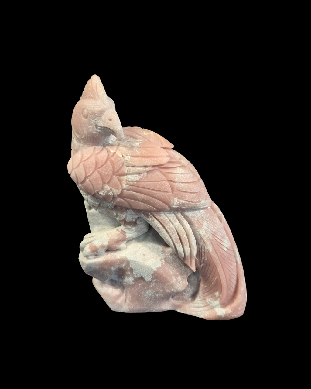 Parrot - Pink Opal