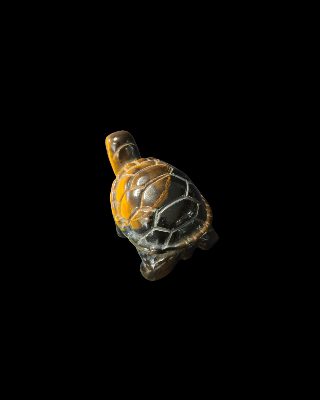 Turtle - Tigers Eye