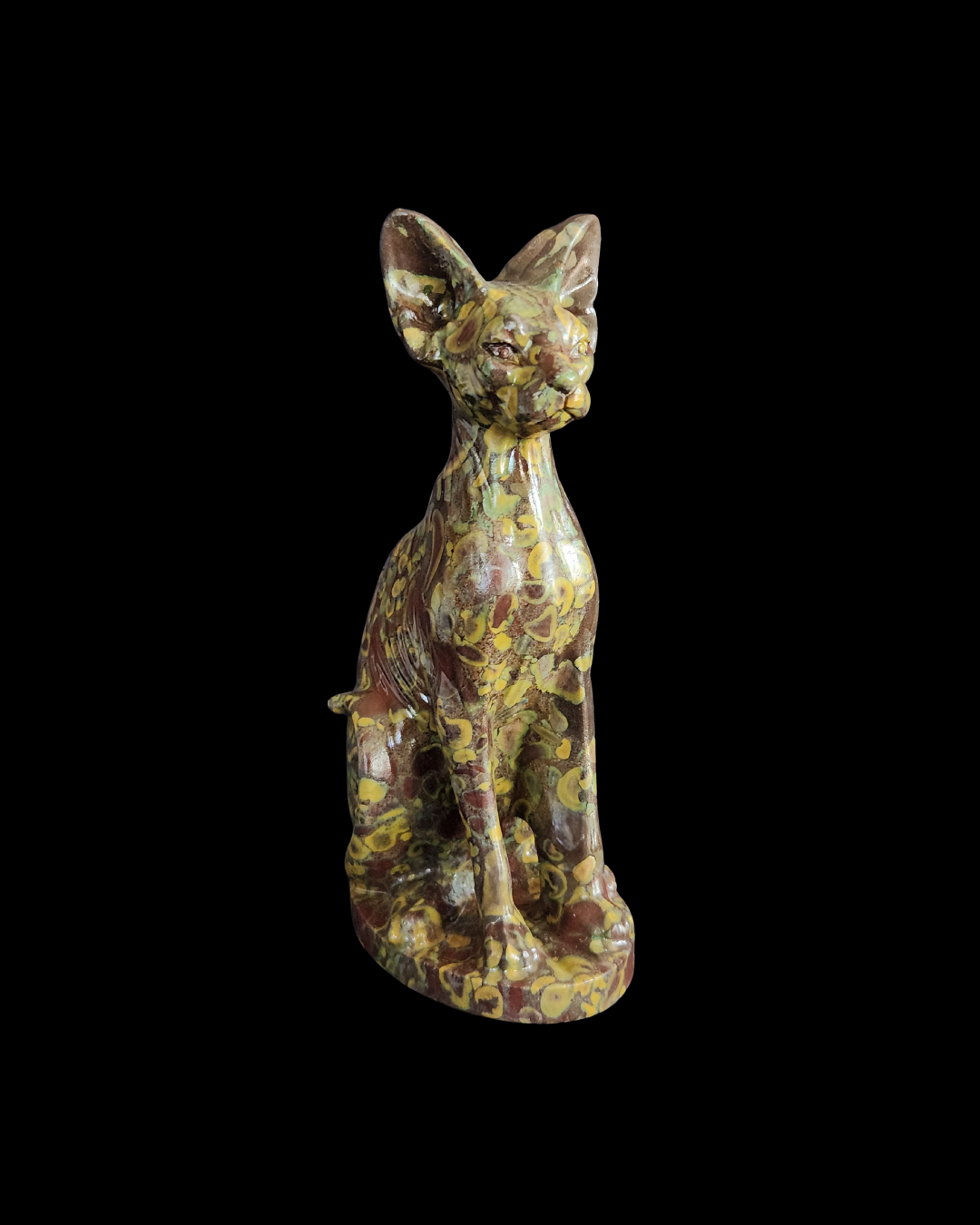 Sphynx Cat - Ajooba Jasper