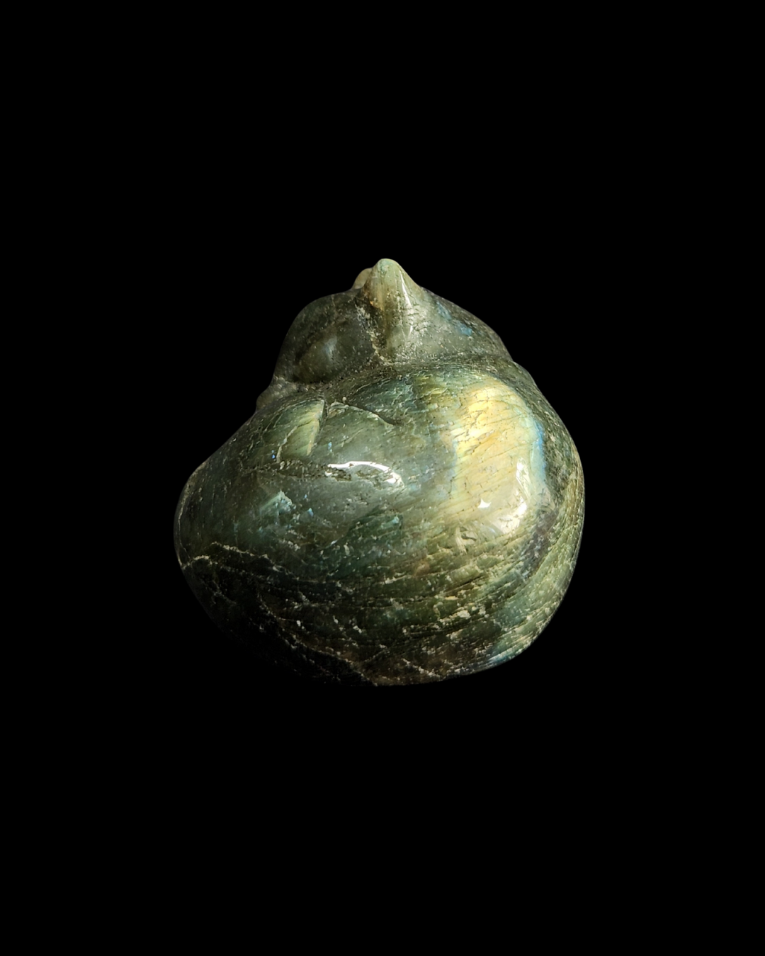 Cat - Labradorite