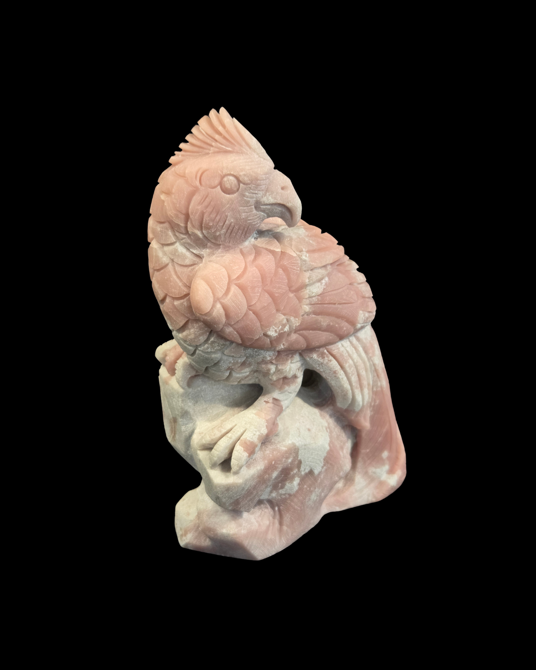 Parrot - Pink Opal
