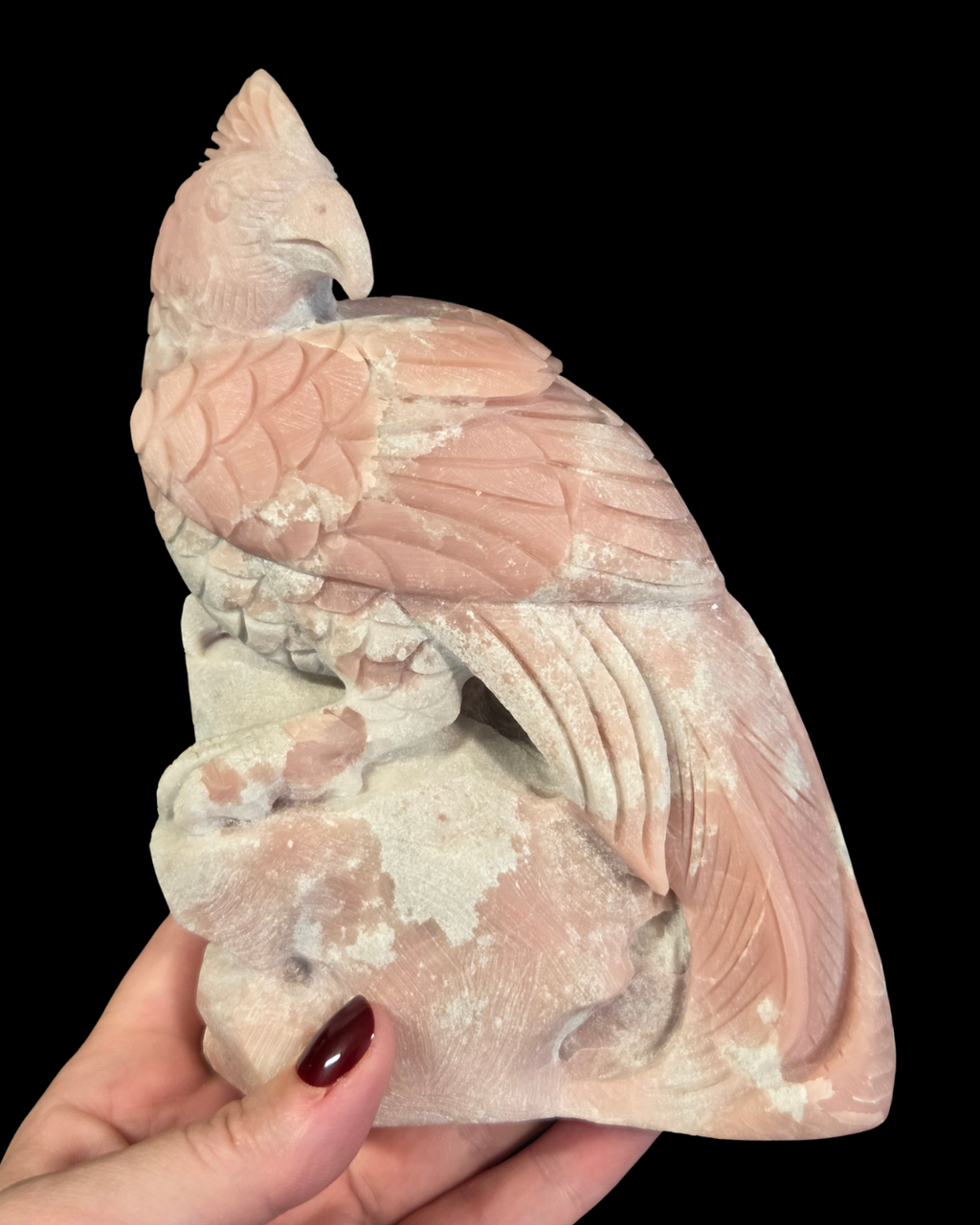 Parrot - Pink Opal