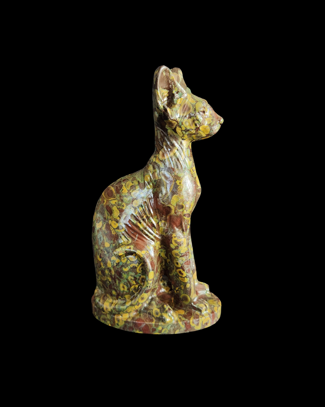 Sphynx Cat - Ajooba Jasper