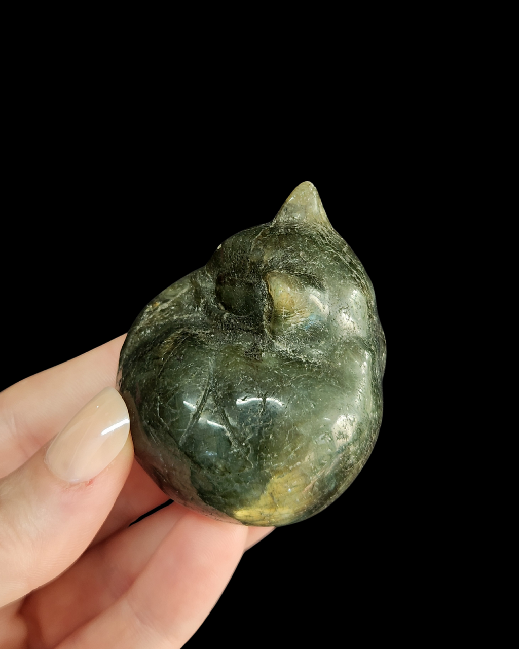 Cat - Labradorite