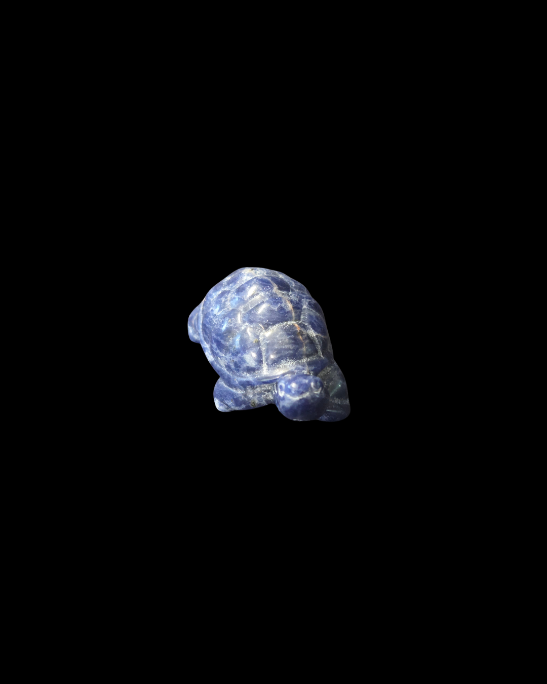 Turtle - Sodalite