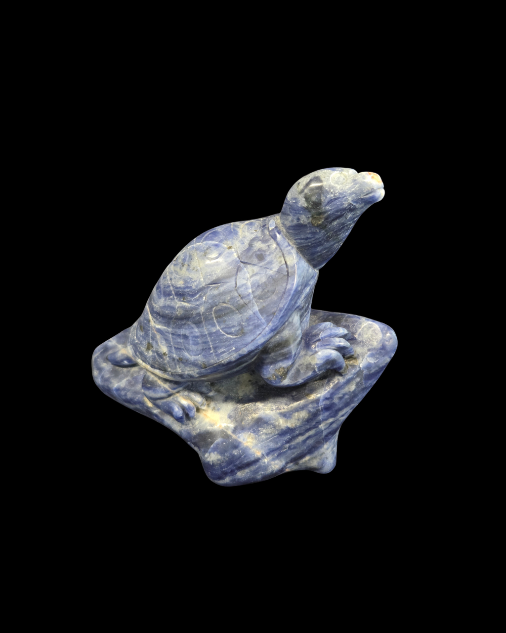 Turtle - Sodalite