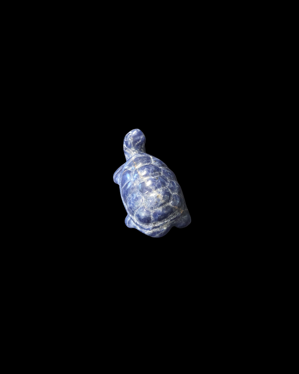 Turtle - Sodalite