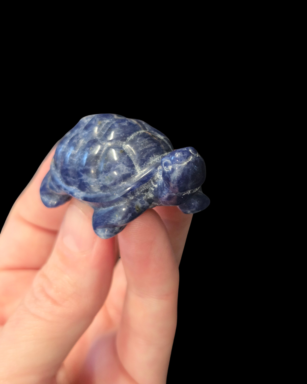 Turtle - Sodalite