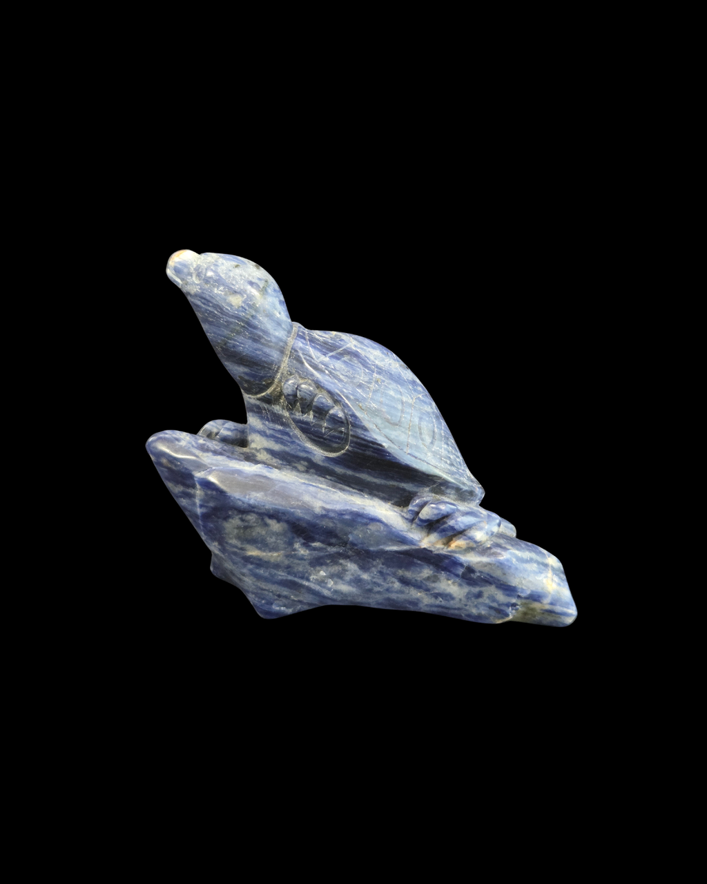 Turtle - Sodalite
